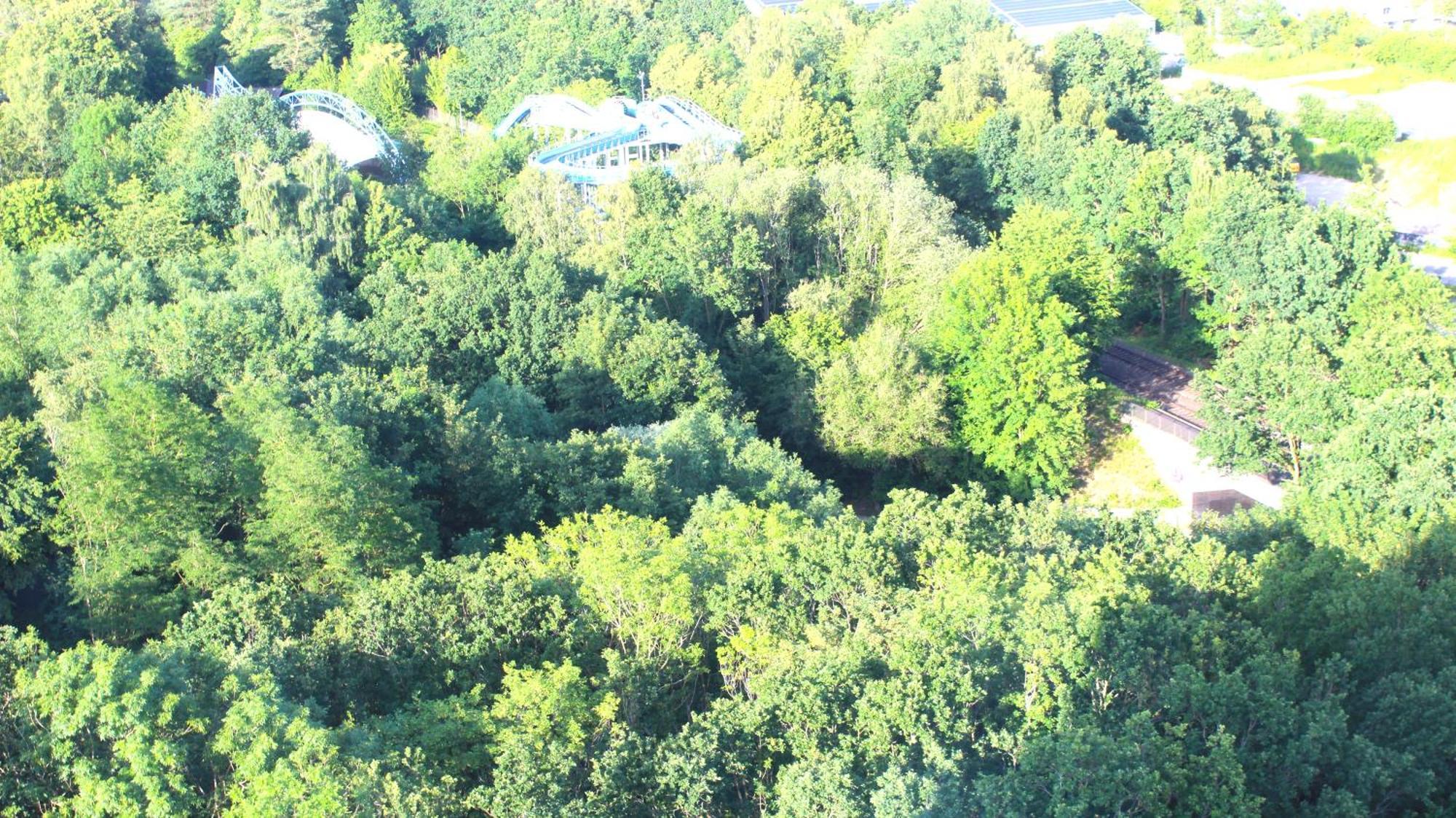 Zum Wohlfuehlen Ferienwohnung Fuer Max 5 Erwachsene Und 1 Kind, Schwimmbad Vor Der Tuer, Tiere Erlaubt Sierksdorf Exterior photo